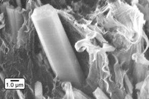 Scan of Hydroxyapatite Whisker Reinforced Biocomposites