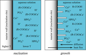 Charts representing nucleation and growth
